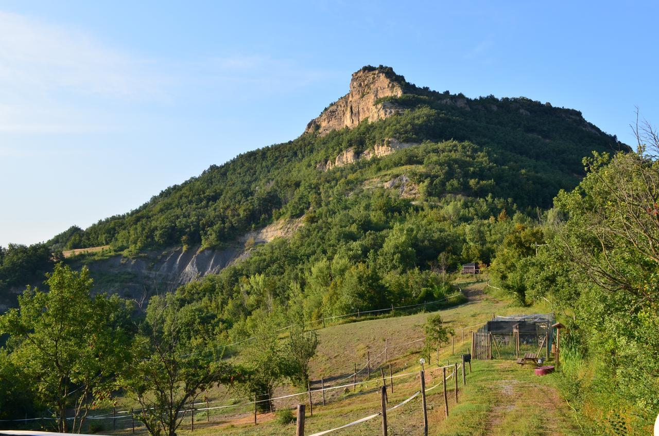 Agriturismo Ca' Di Mazza Monzuno Екстериор снимка