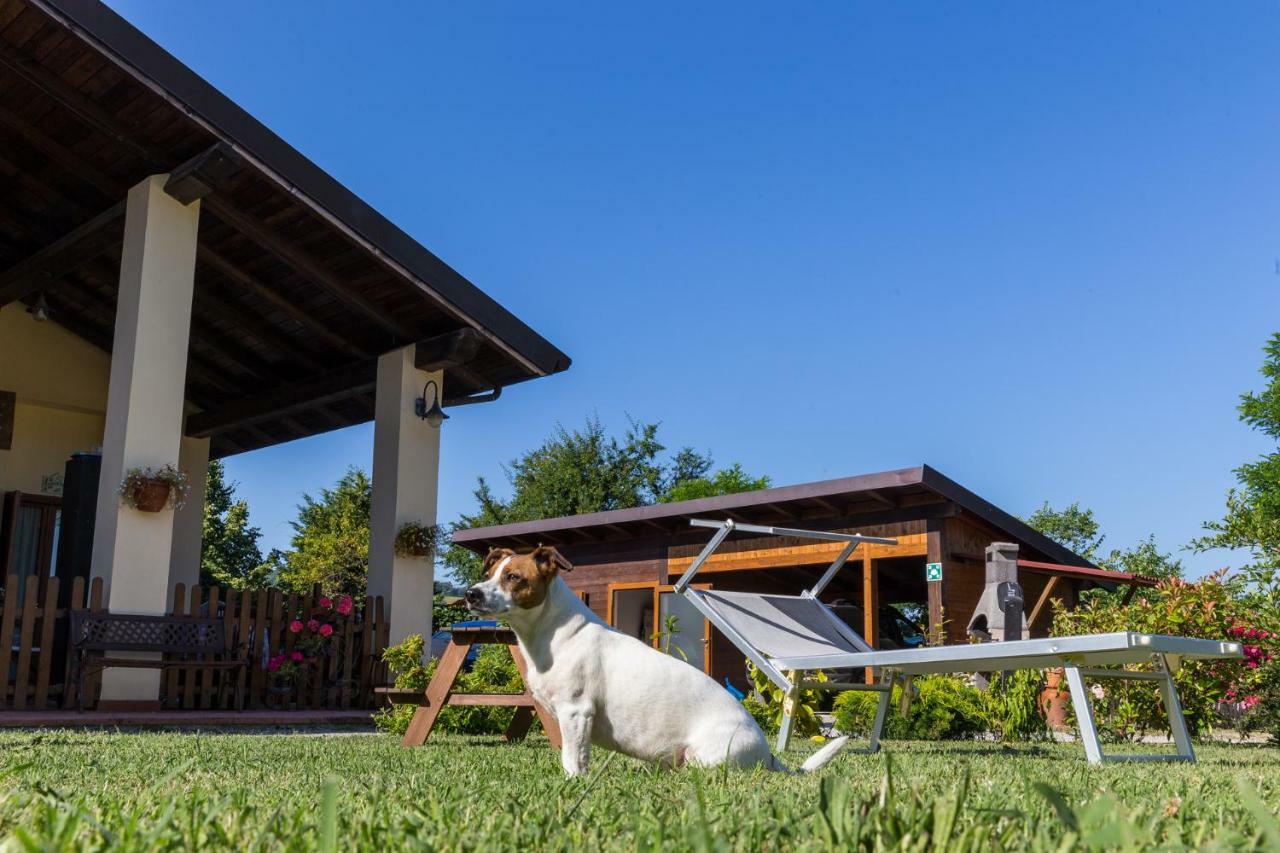 Agriturismo Ca' Di Mazza Monzuno Екстериор снимка